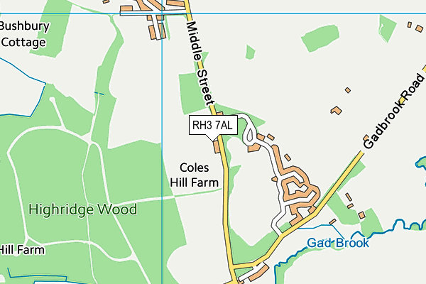 RH3 7AL map - OS VectorMap District (Ordnance Survey)