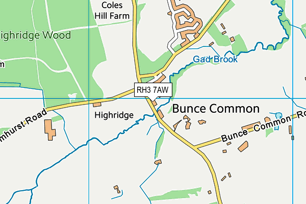 RH3 7AW map - OS VectorMap District (Ordnance Survey)