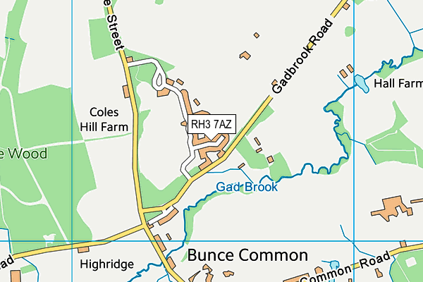 RH3 7AZ map - OS VectorMap District (Ordnance Survey)