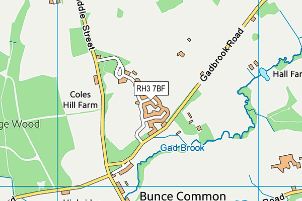 RH3 7BF map - OS VectorMap District (Ordnance Survey)