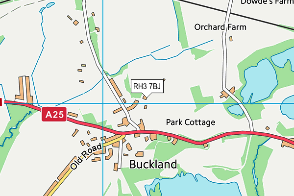 RH3 7BJ map - OS VectorMap District (Ordnance Survey)