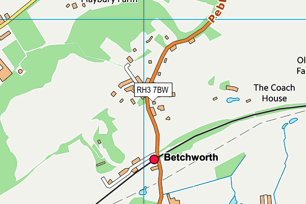 RH3 7BW map - OS VectorMap District (Ordnance Survey)