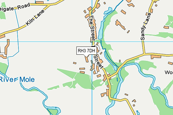 RH3 7DH map - OS VectorMap District (Ordnance Survey)
