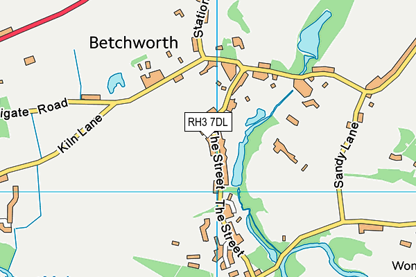 RH3 7DL map - OS VectorMap District (Ordnance Survey)