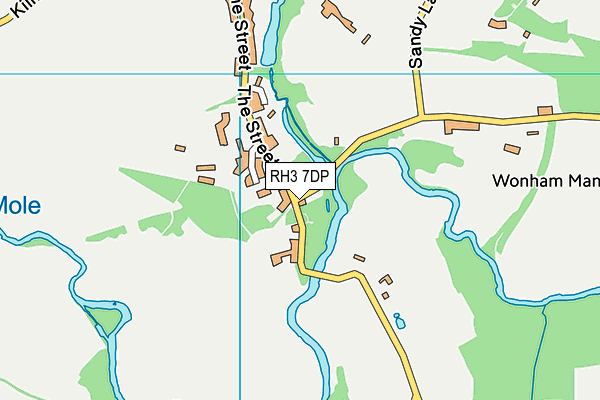 RH3 7DP map - OS VectorMap District (Ordnance Survey)