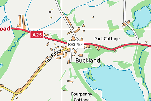 RH3 7EF map - OS VectorMap District (Ordnance Survey)