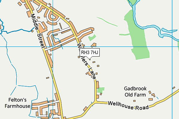 RH3 7HJ map - OS VectorMap District (Ordnance Survey)