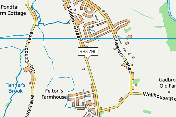 RH3 7HL map - OS VectorMap District (Ordnance Survey)