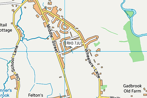 RH3 7JU map - OS VectorMap District (Ordnance Survey)