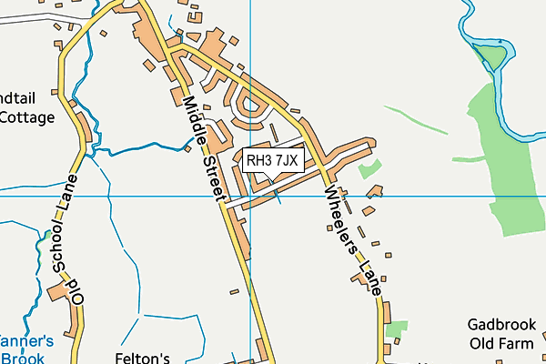 RH3 7JX map - OS VectorMap District (Ordnance Survey)