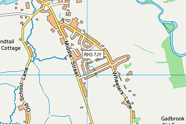 RH3 7JY map - OS VectorMap District (Ordnance Survey)