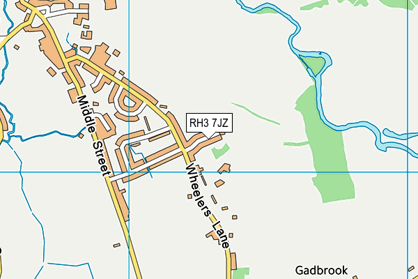 RH3 7JZ map - OS VectorMap District (Ordnance Survey)