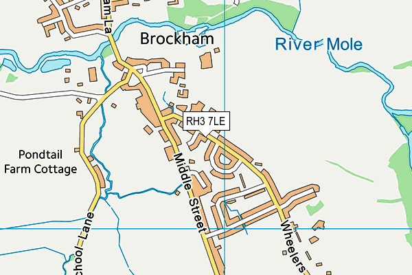 RH3 7LE map - OS VectorMap District (Ordnance Survey)