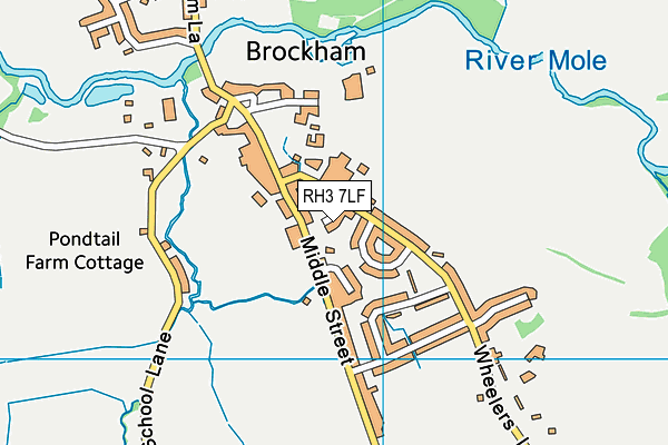 RH3 7LF map - OS VectorMap District (Ordnance Survey)