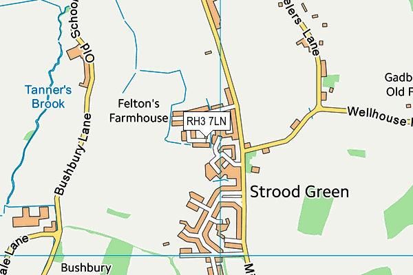 RH3 7LN map - OS VectorMap District (Ordnance Survey)