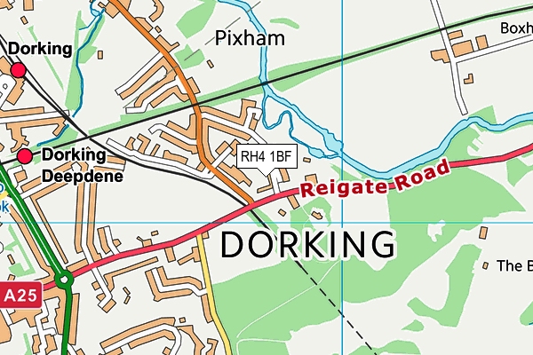 RH4 1BF map - OS VectorMap District (Ordnance Survey)