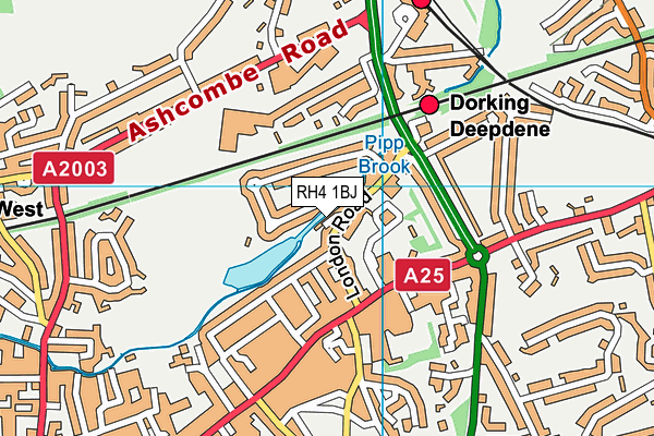 RH4 1BJ map - OS VectorMap District (Ordnance Survey)