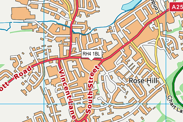 RH4 1BL map - OS VectorMap District (Ordnance Survey)