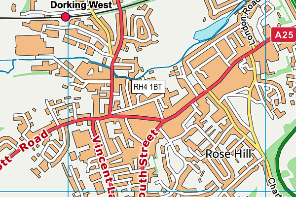 RH4 1BT map - OS VectorMap District (Ordnance Survey)