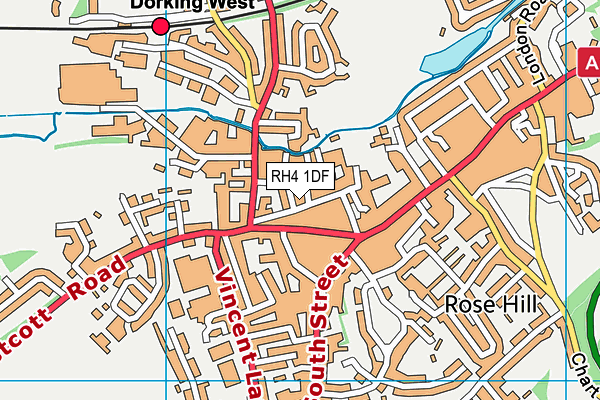 RH4 1DF map - OS VectorMap District (Ordnance Survey)