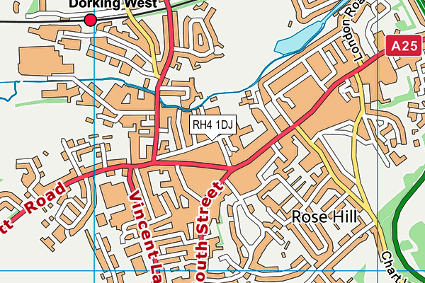 RH4 1DJ map - OS VectorMap District (Ordnance Survey)