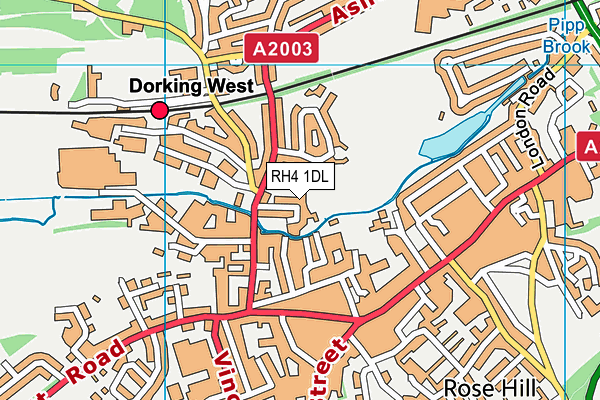 RH4 1DL map - OS VectorMap District (Ordnance Survey)