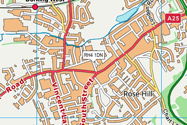 RH4 1DN map - OS VectorMap District (Ordnance Survey)