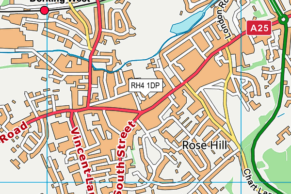 RH4 1DP map - OS VectorMap District (Ordnance Survey)