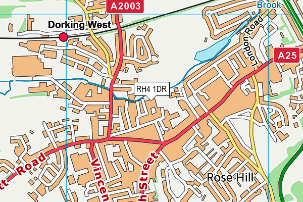 RH4 1DR map - OS VectorMap District (Ordnance Survey)