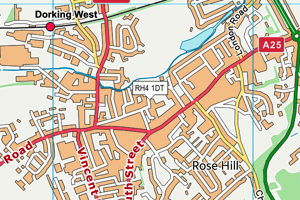 RH4 1DT map - OS VectorMap District (Ordnance Survey)