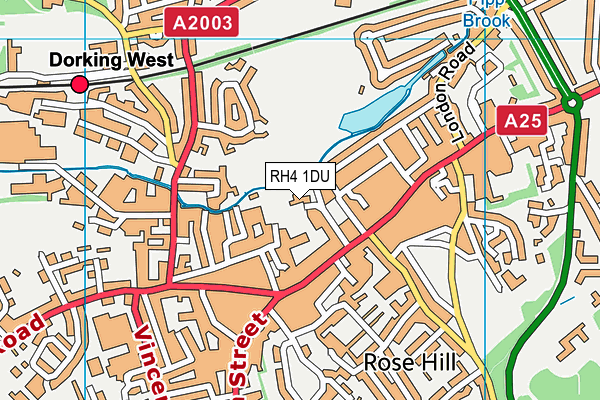 RH4 1DU map - OS VectorMap District (Ordnance Survey)