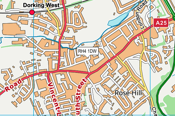 RH4 1DW map - OS VectorMap District (Ordnance Survey)