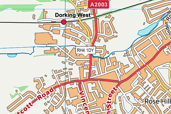 RH4 1DY map - OS VectorMap District (Ordnance Survey)