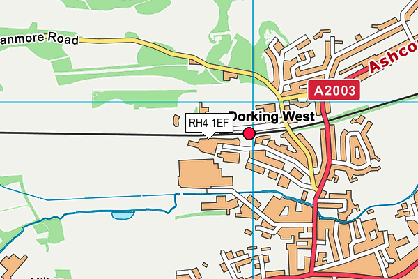 RH4 1EF map - OS VectorMap District (Ordnance Survey)