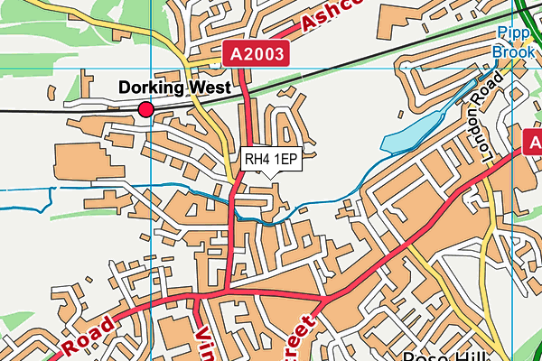 RH4 1EP map - OS VectorMap District (Ordnance Survey)