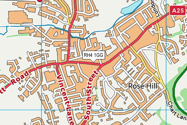 RH4 1GG map - OS VectorMap District (Ordnance Survey)