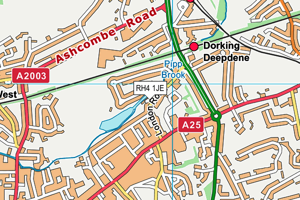 RH4 1JE map - OS VectorMap District (Ordnance Survey)