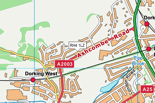 RH4 1LZ map - OS VectorMap District (Ordnance Survey)