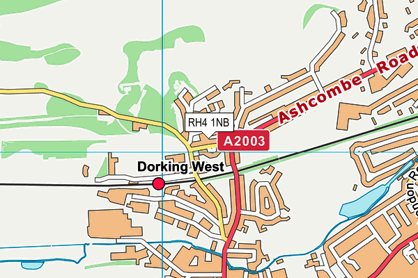 RH4 1NB map - OS VectorMap District (Ordnance Survey)