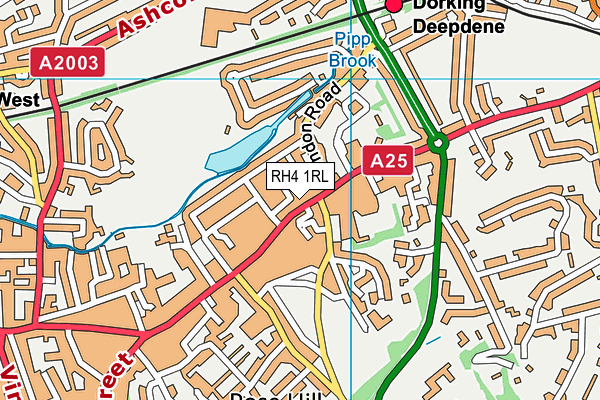Anytime Fitness (Dorking) map (RH4 1RL) - OS VectorMap District (Ordnance Survey)