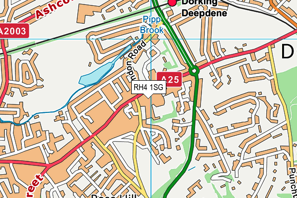 RH4 1SG map - OS VectorMap District (Ordnance Survey)