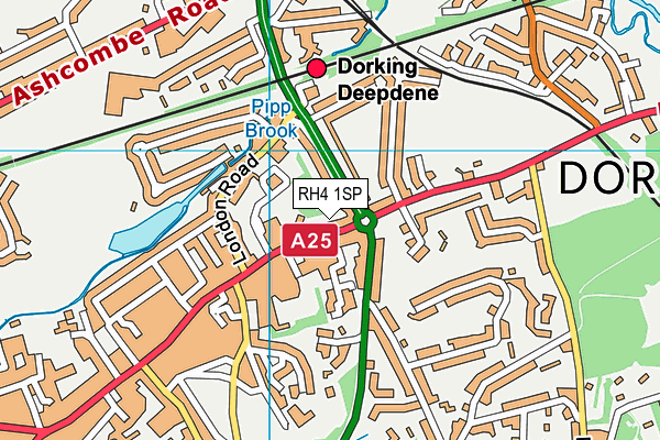 RH4 1SP map - OS VectorMap District (Ordnance Survey)