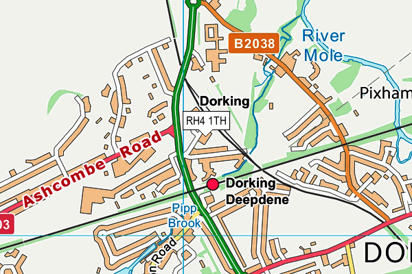 RH4 1TH map - OS VectorMap District (Ordnance Survey)