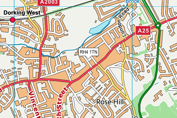 RH4 1TN map - OS VectorMap District (Ordnance Survey)