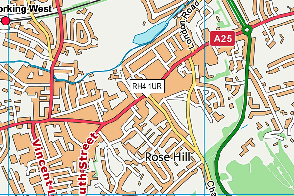 RH4 1UR map - OS VectorMap District (Ordnance Survey)