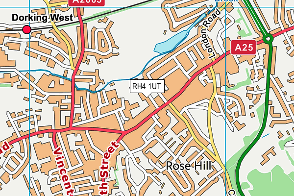 RH4 1UT map - OS VectorMap District (Ordnance Survey)