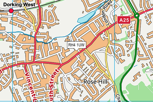 RH4 1UW map - OS VectorMap District (Ordnance Survey)