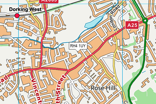 RH4 1UY map - OS VectorMap District (Ordnance Survey)