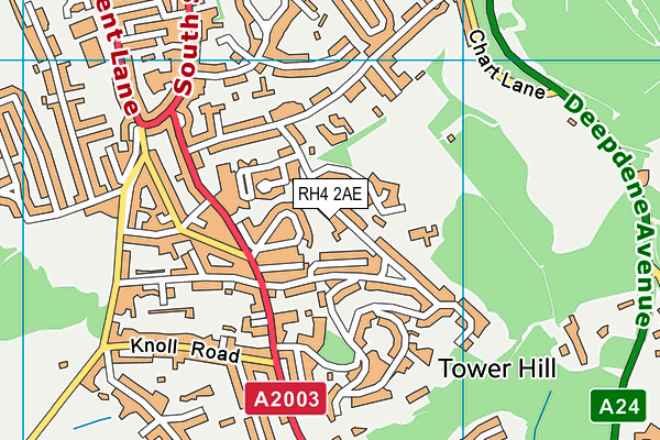 RH4 2AE map - OS VectorMap District (Ordnance Survey)