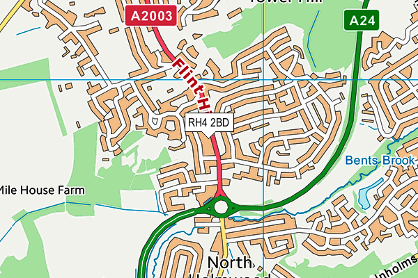 RH4 2BD map - OS VectorMap District (Ordnance Survey)